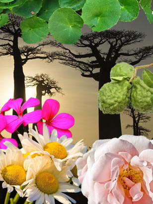 voor MADAM lichaamscreme